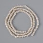 Perle d'acqua dolce, diametro 2,5–3 mm, lunghezza 35 cm +/- su filo