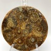 Piastra souvenir con ammonite fossilizzata, diametro 11 cm ± con base 15×10 cm ±
