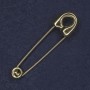 Spilla-fermaglio 17x72 mm ± metallo dorato