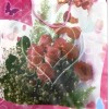 Sacchetto regalo 24×18 cm materiale PE