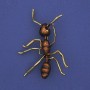 Spilla formica marrone smalto, metallo dorato 42×57 mm+