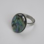 Anello in haliotis ovale 19×14 mm ±, metallo argentato