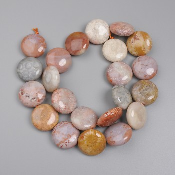 Perle di corallo fossile a forma di moneta, diametro 17,5 mm +/- su filo, lunghezza 39 cm+