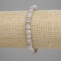 Bracciale con conchiglia Scafarca a rondelle, diametro 6x1-1,5 mm, lunghezza 18 cm +/- elastico