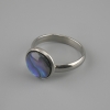 Orecchino con haliotite, 12 mm ±, metallo argentato