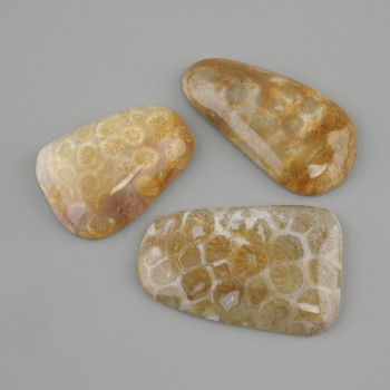Cabochon Corallo fossile 40-45x19-24mm+- (misura assortita)