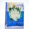 Sacchetto regalo 24×18 cm (materiale PE)