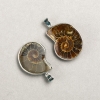 Pendente ammonite in montatura argentata, assortito di dimensioni da 20x30 mm +/- a 30x40 mm +/- (per 1 pezzo)
